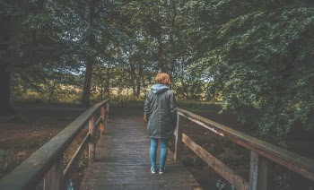 Free Photo of trees, plants, nature