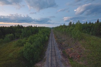 Free Photo of trees, railway, grass