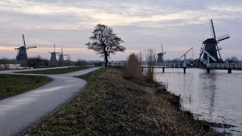 Free Photo of trees, road, windmill