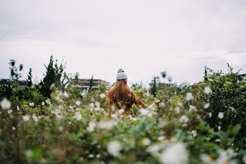 Free Photo of Trip, chill, tourism