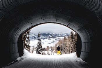 Free Photo of tunnel, nature, trees