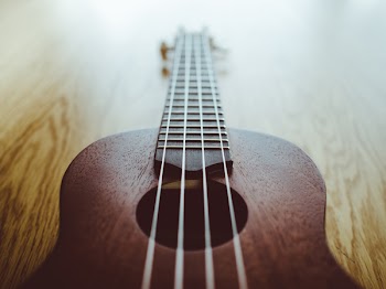 Free Photo of ukulele, music, instrument