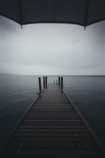 Free Photo of umbrella, bridge, water