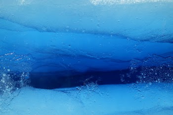 Free Photo of under water, glacier, frozen