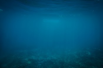 Free Photo of under water, ocean, sea
