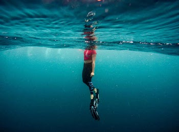 Free Photo of underwater, ocean, sea