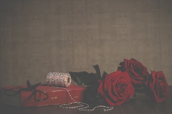 Free Photo of Valentine's Day, red, roses