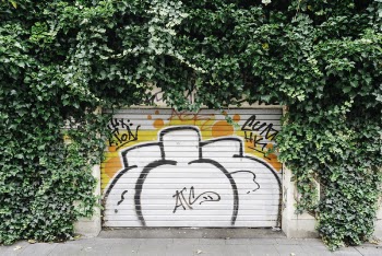 Free Photo of vandal, art, paint