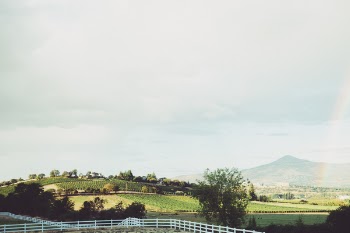 Free Photo of vineyard, farm, country
