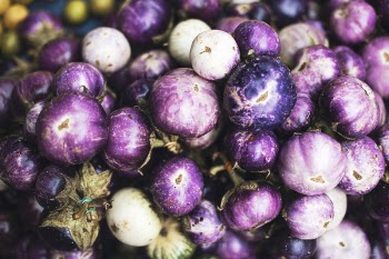 Free Photo of violet, eggplant, vegetable