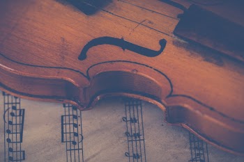Free Photo of violin, classical, music