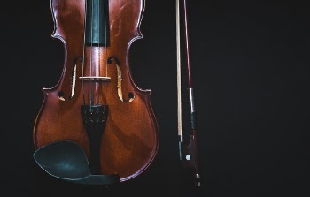Free Photo of violin, music, musical