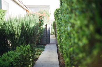 Free Photo of walkway, stones, garden