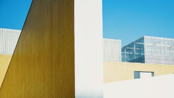 Free Photo of wall, fence, garden