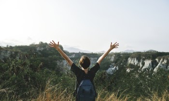 Free Photo of warm, freedom, plants