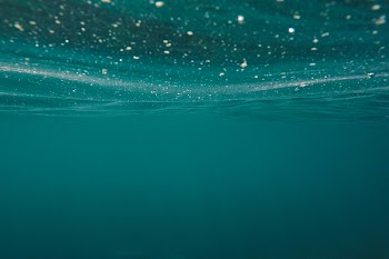 Free Photo of water, bubbles, underwater