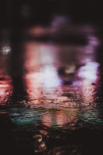 Free Photo of water, dark, night
