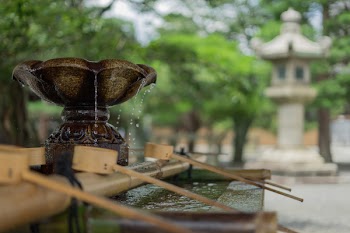Free Photo of water, fountain, tree