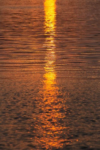 Free Photo of water, sunset, sunlight