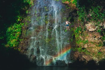 Free Photo of waterfall, green, grass