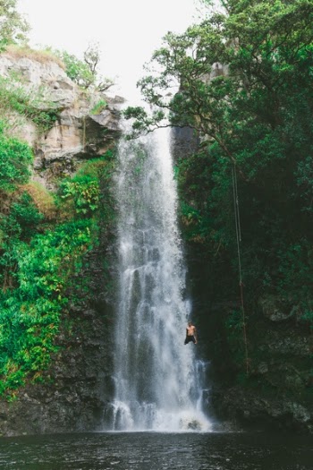 Free Photo of waterfall, green, grass