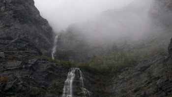 Free Photo of waterfall, green, tree