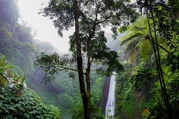 Free Photo of waterfall, green, trees