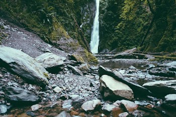 Free Photo of waterfall, water, trees