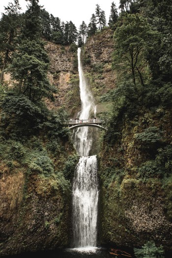Free Photo of waterfalls, nature, landscape