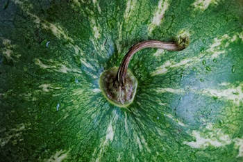 Free Photo of watermelon, fruits, food