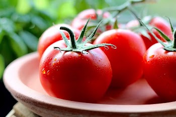 Free Photo of wet, tomatoes, plate
