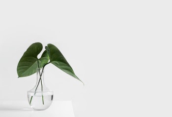 Free Photo of white, aesthetic, table