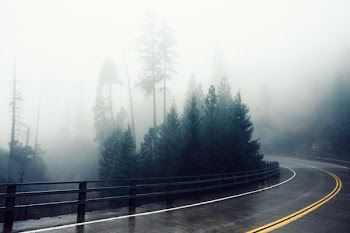 Free Photo of winding, road, railing