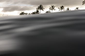 Free Photo of windmill, coconut, tree