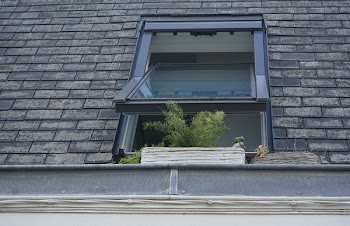 Free Photo of window, glass, plants