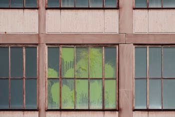 Free Photo of window, panes, wooden