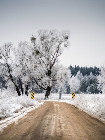 Free Photo of winter, dirt, road