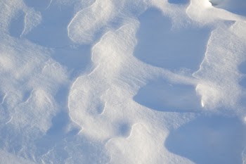 Free Photo of winter, field, snow