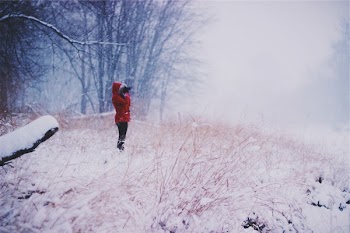 Free Photo of winter, snow, cold