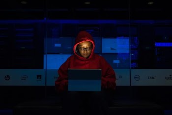Free Photo of woman, coding, dark