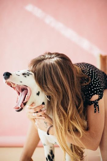 Free Photo of woman, dog, yawn