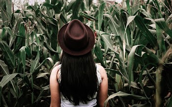 Free Photo of woman, girl, lady
