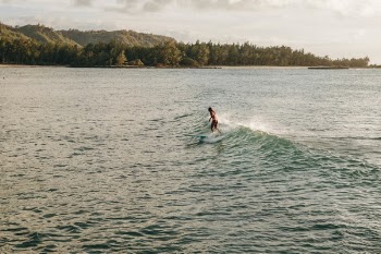 Free Photo of woman, girl, surfing