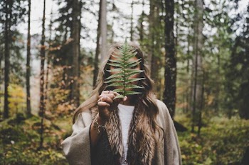 Free Photo of woman, hiding, leaf