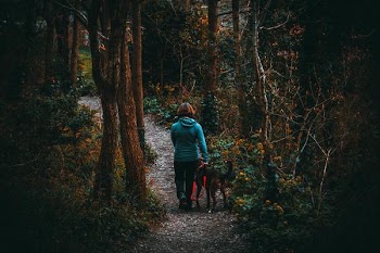 Free Photo of woman, hike, forest