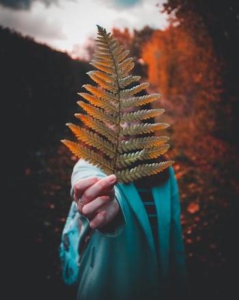 Free Photo of woman, holding, fern