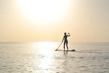 Free Photo of woman, paddleboard, sunset