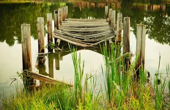 Free Photo of wood, bridge, logs