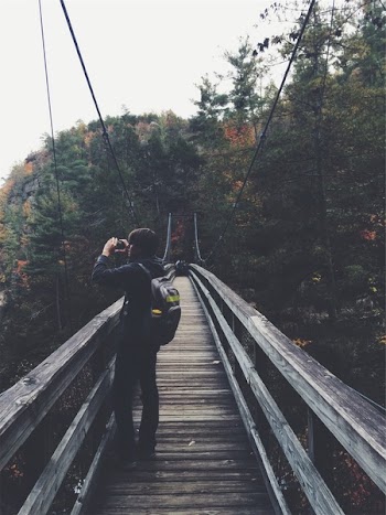 Free Photo of wood, bridge, nature