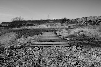 Free Photo of wood, bridge, rocks